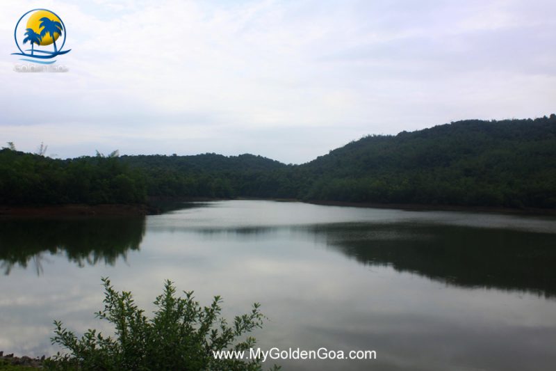 moisal-dam-sanvordem-1