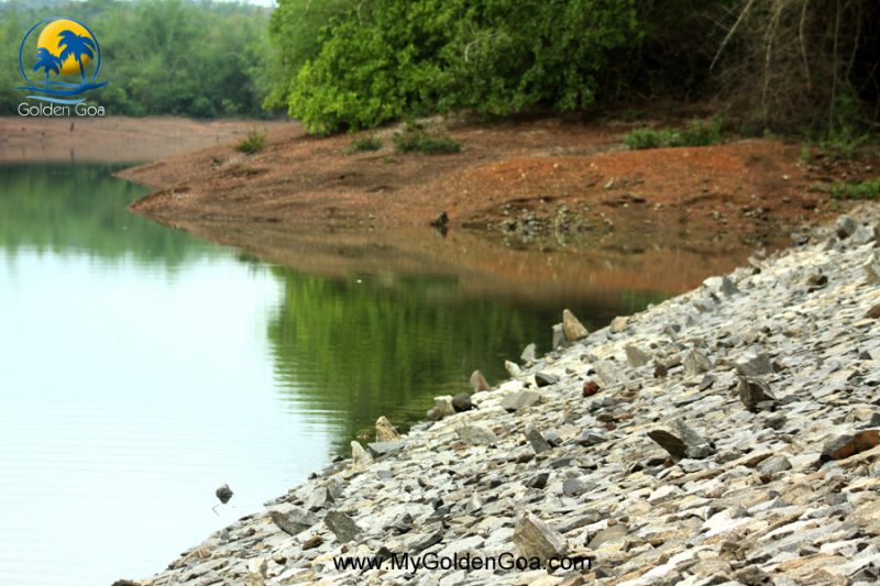 moisal-dam-sanvordem-9
