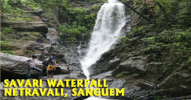 Savari Waterfall, Netravali Sanguem