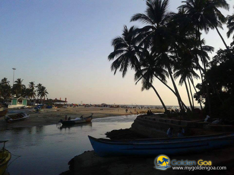 baga-beach-goa3